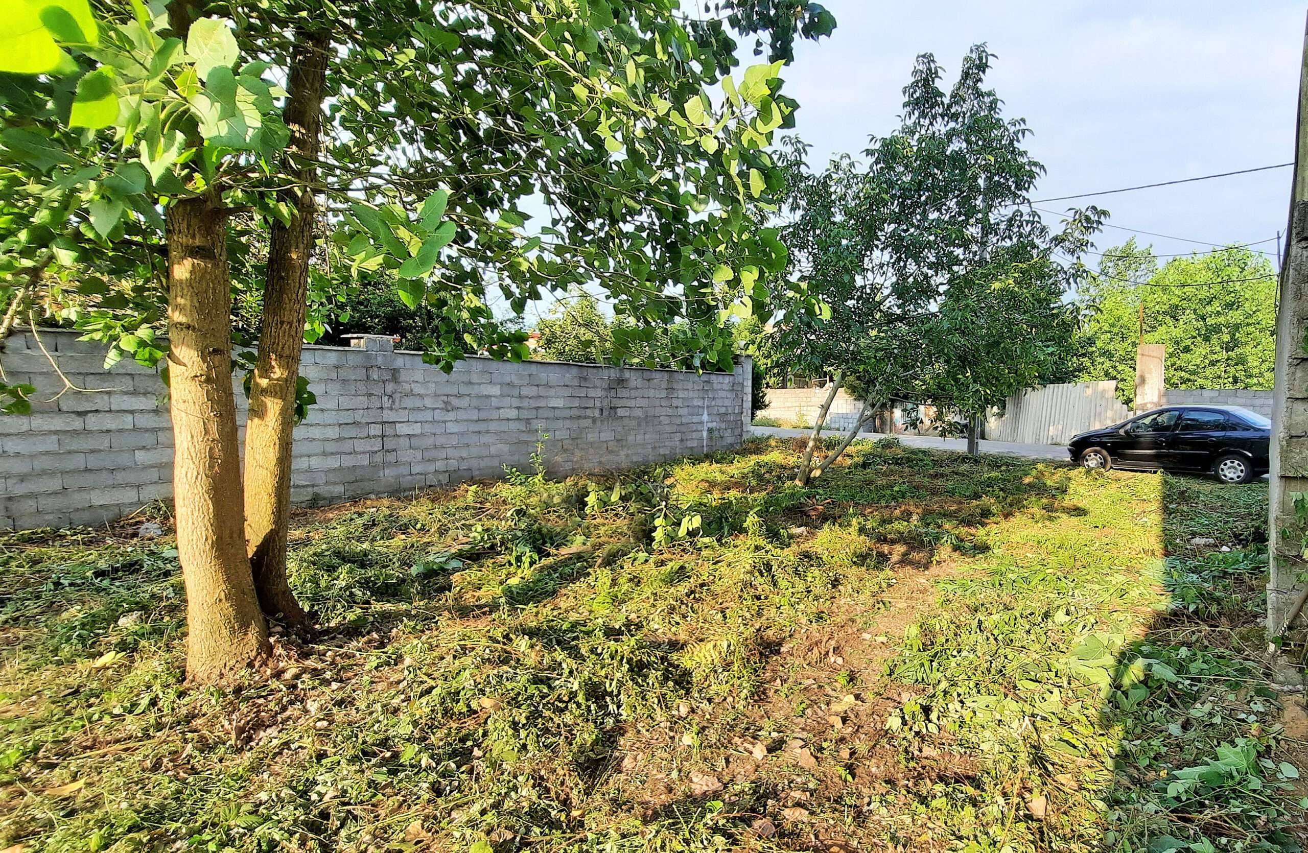 Product Gallery Image