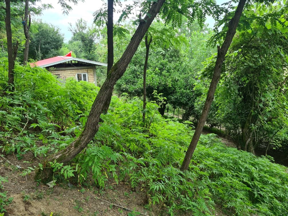 فروش باغ مشجر