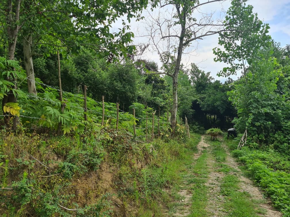 Product Gallery Image