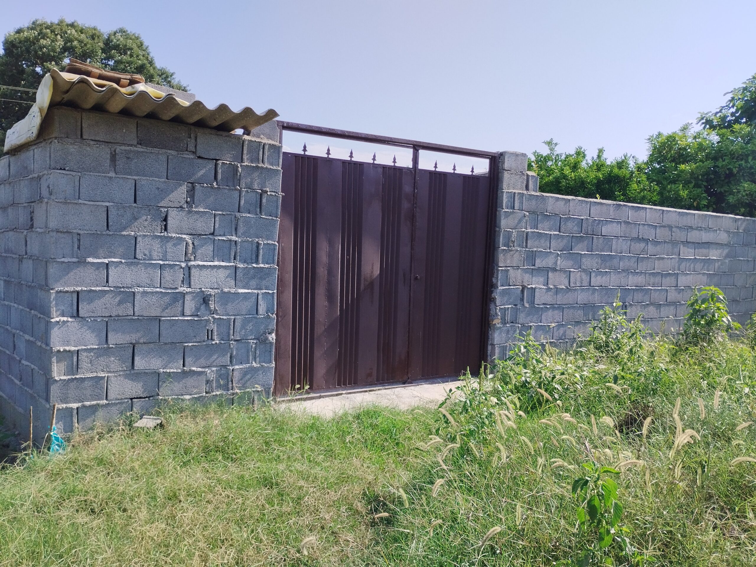 فروش فوری زمین باغی در جمنان قائمشهر