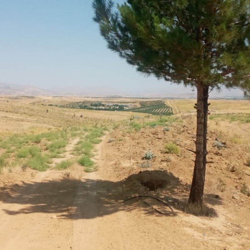 Product Gallery Image