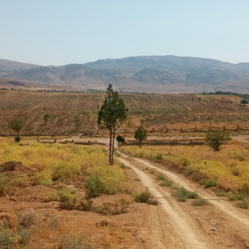 فروش باغ ۱۰۰۰ متری راشک اردکان