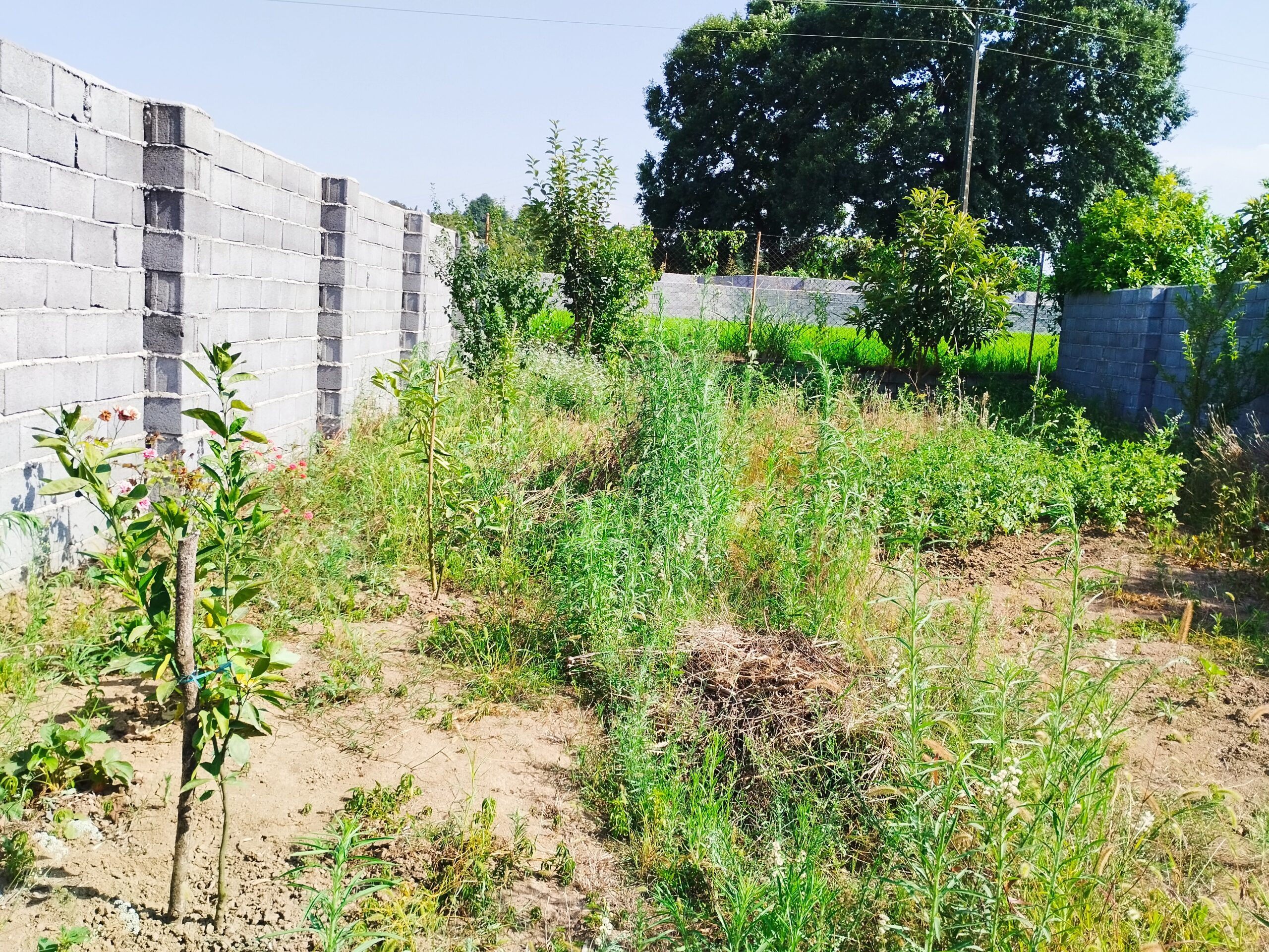 Product Gallery Image