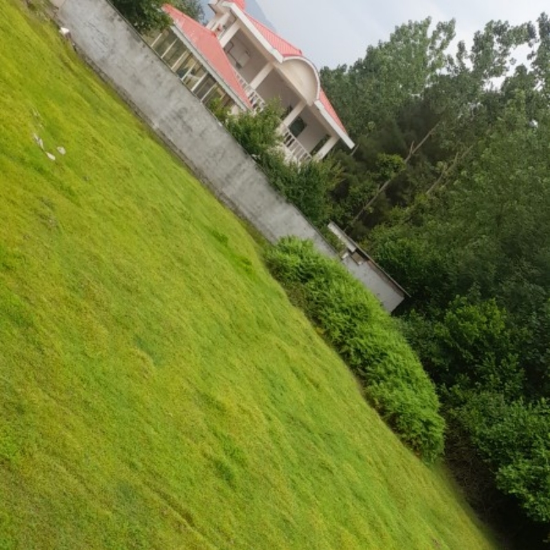 Product Gallery Image