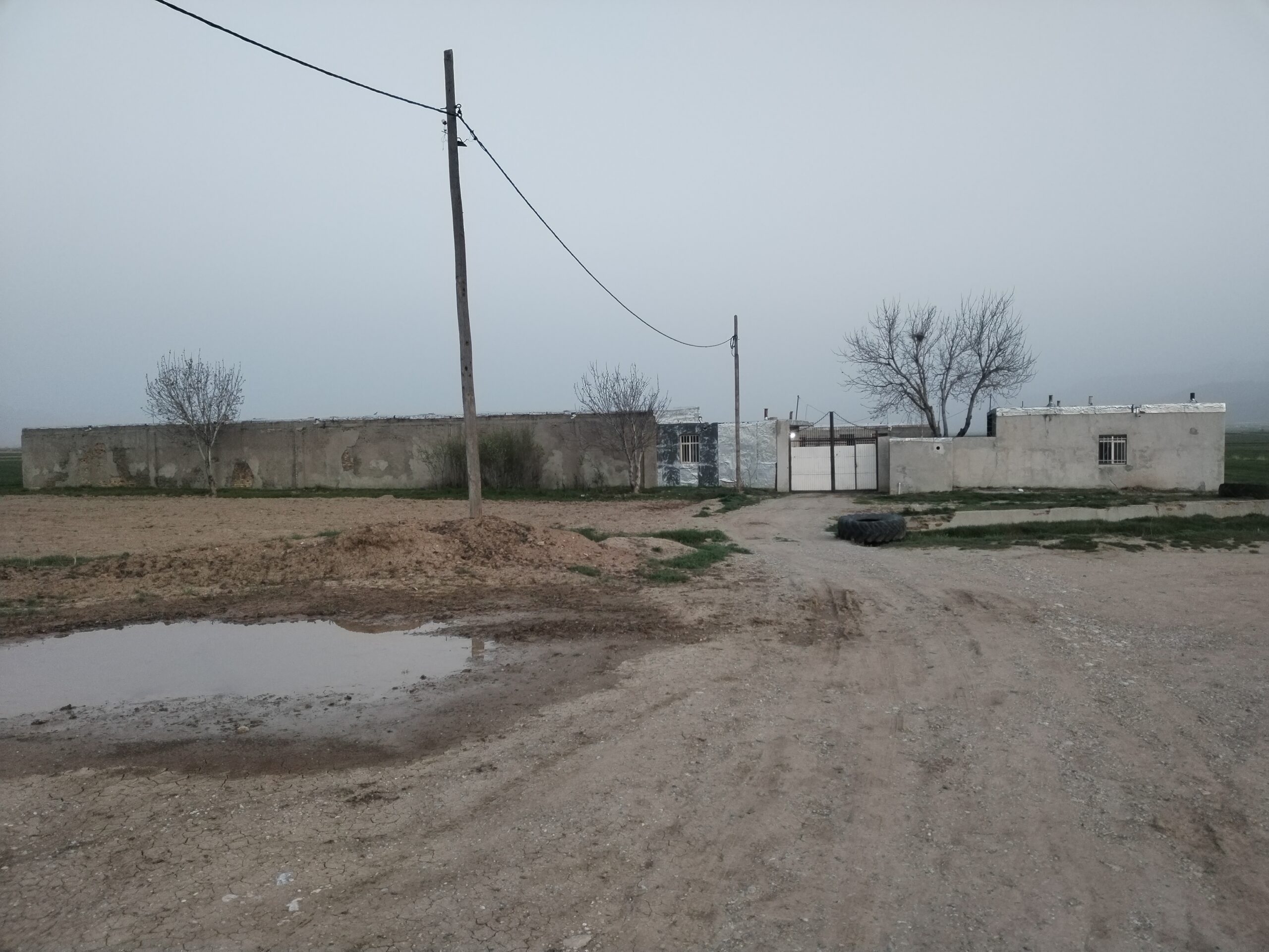 Product Gallery Image