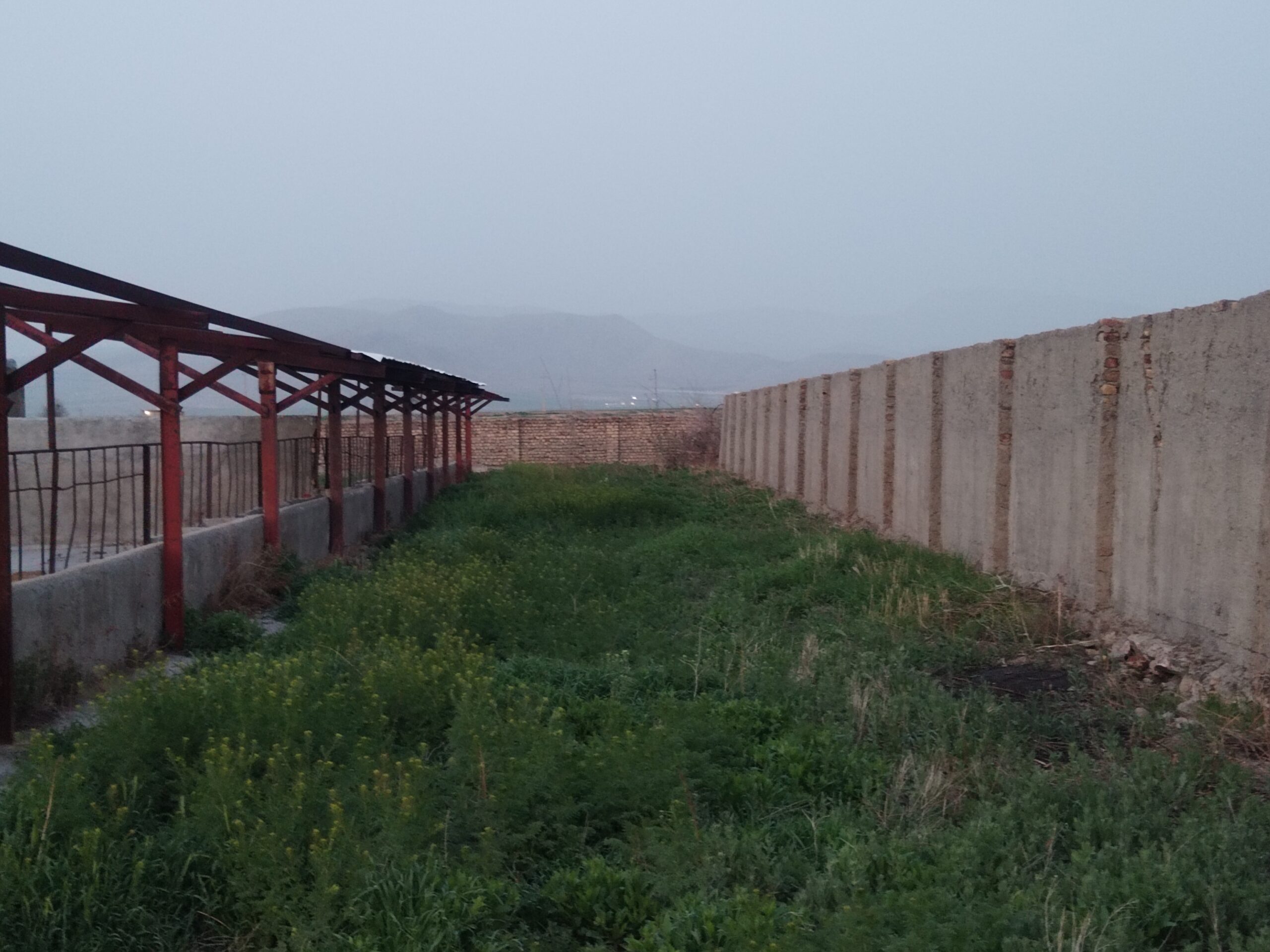 گاوداری 16000متر مربع