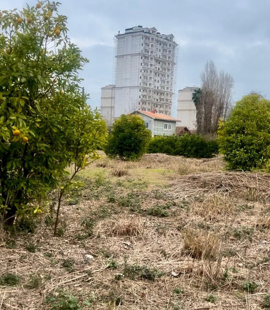 زمین ساحلی مسکونی چمخاله